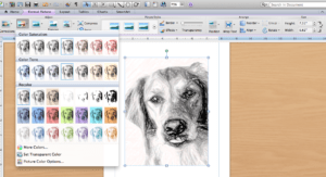 how to print photo art on book pages tutorial, print photo art, photo art, printing art, printing on book pages, art on book pages, book pages art, book, book art, turning photos into sketches, tutorial, computer tutorial, diy decor, microsoft publisher