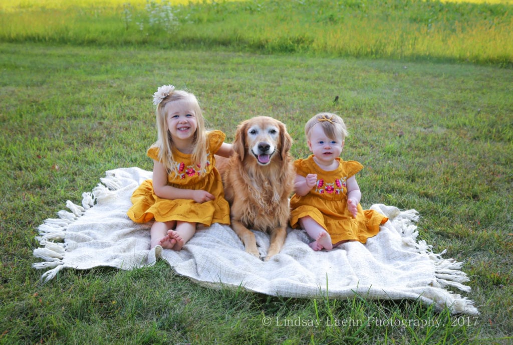 How to Successfully Take Family Photos with Dogs Present - Simply September