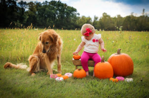 family photos with dogs, fall photos, family photos, stainmaster, carpet cleaning, photo prep, dog, muddy paws, how to get your dog to cooperate in family photos, how to get your dog to behave in photos, how to get your dog to listen