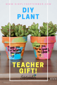 DIY teacher gift, DIY succulent pot, painting pots, garden gift, teacher appreciation gift, teacher gift, end of the school year gift, crafts with kids, kid crafting, kid painting